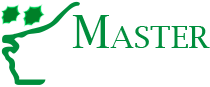 mastertech-logo.png